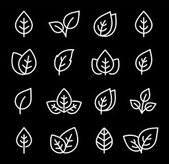 Wall Mural - set of white leaf line icons on black background