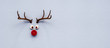 Reindeer toy with red nose Christmas background concept 3D Rendering