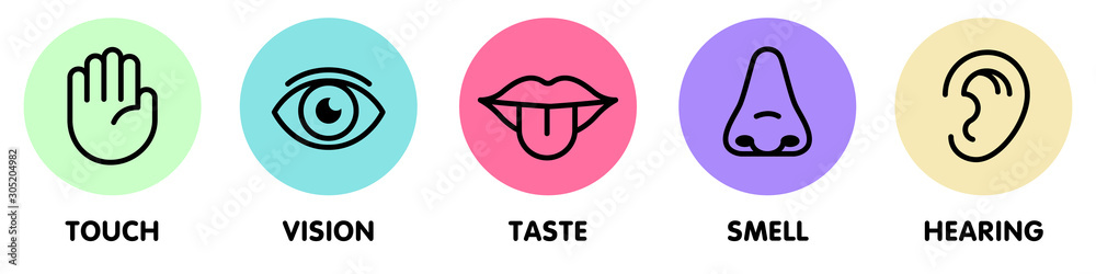 Icon set of five human senses.Vision eye, smell nose, hearing ear, touch hand, taste mouth with tongue. Isolated vector illustration. Poster, banner, web design. Medical reference. Body anatomy study. - obrazy, fototapety, plakaty 