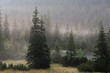 © vovik_mar - Landscape forested mountain slope in low lying cloud with the evergreen conifers, shrouded in mist.Tatra National Park. Poland. Europe.