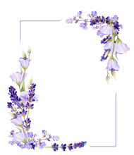 Picturesque Square Frame Of Lavender, Bluebells, Herbs Hand Drawn In Watercolor Isolated On A White Background.Floral Watercolor Illustration.Ideal For Creating Invitations, Greeting And Wedding Cards