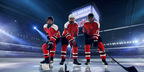 Wall Mural - Ice hockey.