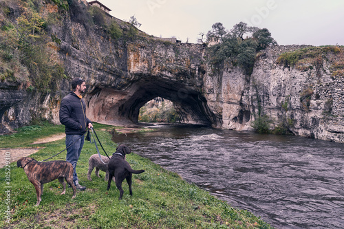 Cuadros en Lienzo young man taking a walk with his dogs along the bank of the river nela in burgos
