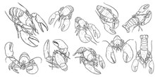 Set Of Lobster By Hand Drawing.Lobster Vector Silhouette On White Background.Shrimp Art Highly Detailed In Line Art Style.Animal Pictures For Coloring.