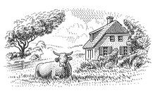 Cow Near Countryside House Engraving Style Illustration. Countryside Vintage Drawing. Vector. Sky In Separate Layer. 