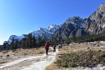 north sikkim lachen lahcung 