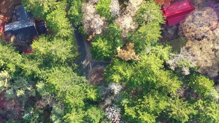 Poster - Aerial view of Beautiful Japan autumn at Kumoba Pond with red leaves