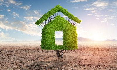 Sticker - Green plant in shape of house grows in desert