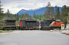 Freight Train Crosses The Road In Jasper. Alberta. Canada.