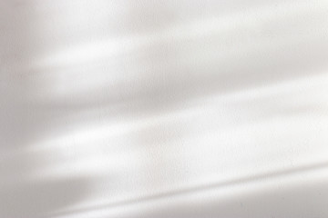 background of organic shadow over white textured wall