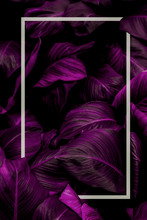 Tropical Leaves With White Frame, Abstract Purple Leaves, Small Green Leaves, Natural Purple Background