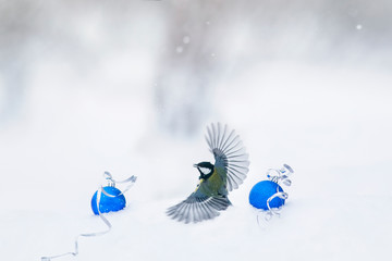 Wall Mural - bird tit takes off from the white fluffy snow in Christmas garden among ornaments of glass balls