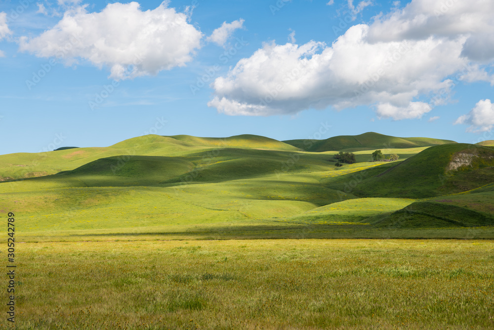Idyllic scene of green grassy hills dotted with light and shadow from fluffy white clouds in a beautiful blue sky - obrazy, fototapety, plakaty 