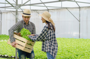 young asian couple farmer harvesting fresh green oak lettuce salad, organic hydroponic vegetable in greenhouse garden nursery farm, agriculture business, organic vegetable farm, healthy food concept