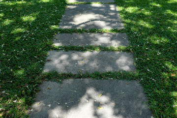 path in the garden