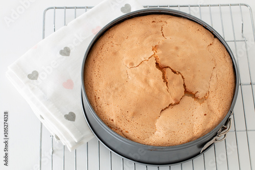 Fotomural Baked sponge cake in a round form