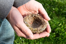 Men's Hands Delicately Holding An Empty Bird's Nest. Farm Life, Italian Countryside