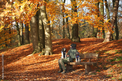 Mann Auf Bank Herbst Kaufen Sie Dieses Foto Und Finden Sie Ahnliche Bilder Auf Adobe Stock Adobe Stock