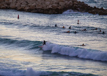 Surfer Ride The Wave .Other Waiting Next Sunset - Dusk !