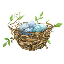 Watercolor Nest Illustration Isolated On White Background. Easter Bird Nest Illustration. Bird Nest. 