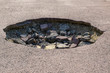 cracked hole in the asphalt road