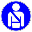 shas593 SignHealthAndSafety shas - German / Gebot / Gebotszeichen - Zeichen: Sicherheitsgurt anlegen. english / mandatory sign: wear seat belts icon. seatbelt button - g8739