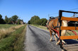 Urlaub mit Pferd und Kutsche in den Vogesen, Frankreich	