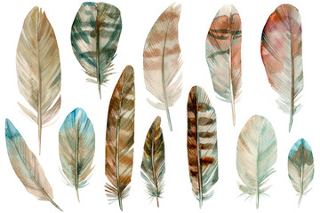 set of bird feathers on isolated white background, watercolor illustration, hand drawing