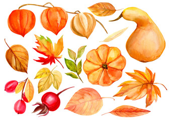 watercolor illustration, hand drawing, autumn set of elements on isolated white background, pumpkins, colored leaves, branch of physalis, hawthorn, berry of wild rose