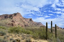 Gold Canyon Arizona Desert Superstition Mountains Saguaro Cactus