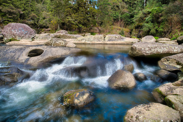 Wall Mural - Dreamy McLaren Falls in thick New Zealand native bush with the water rushing over the rocks