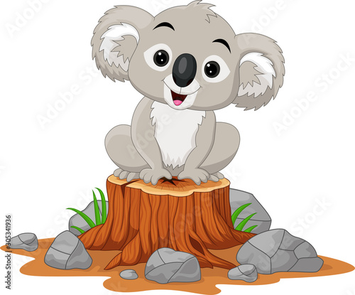 Fototapeta Koala  mis-siedzi-na-pniu-drzewa