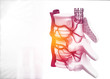 Human vertebrae anatomy science background. 3d illustration