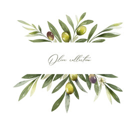 Wall Mural - Watercolor vector banner of olive branches and leaves.