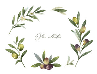 Canvas Print - Watercolor vector frame of olive branches and leaves.