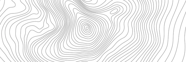 Wall Mural - the stylized height of the topographic contour in lines. the concept of a conditional geography sche