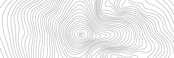 The stylized height of the topographic contour in lines. The concept of a conditional geography scheme and the terrain path. Black & White. Ultra wide size. Vector illustration.