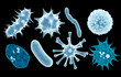 Set of virus, germ and bacteria