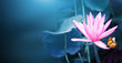 Horizontal banner with lotus flower and monarch butterfly