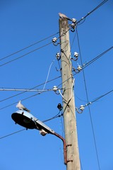 Street lighting pole made of wood