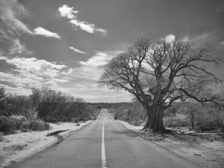 Wall Mural - infrared