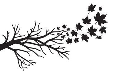 Wall Mural - branch with falling leaves vector