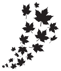 Wall Mural - swirl of falling maple leaves