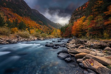 Fototapeta Breathtaking shot of a river in the forest with colorful trees under the cloudy sky in autumn