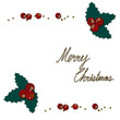 abstract background with berry/ chrishmas card