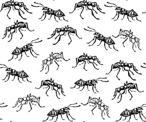 Canvas Print - Ant. Vector drawing