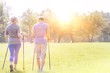 © MDBPIXS - Rear view of healthy senior couple with hiking poles walking on field