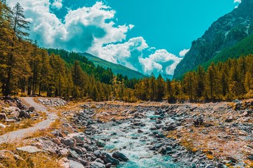 Poster - River with a lot of rocks surrounded by trees and high mountains in Pragelato, Italy