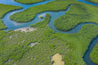 Aerial view of mangrove forest in Gambia. Photo made by drone from above. Africa Natural Landscape.