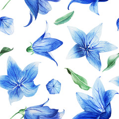  Watercolor seamless pattern with bellflower, bluebell on a dark background, botanical drawing. Stock illustration. Fabric wallpaper print texture.